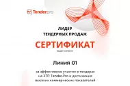 О вручении сертификата «Лидер тендерных продаж» 2025 в Владивостоке 